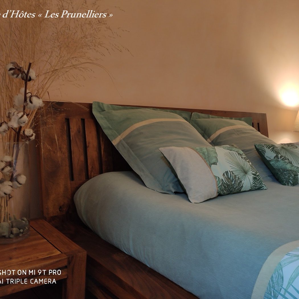Chambre d'Hôtes Les Prunelliers 1